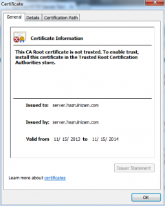 Set up WordPress - Self-signed certificate details